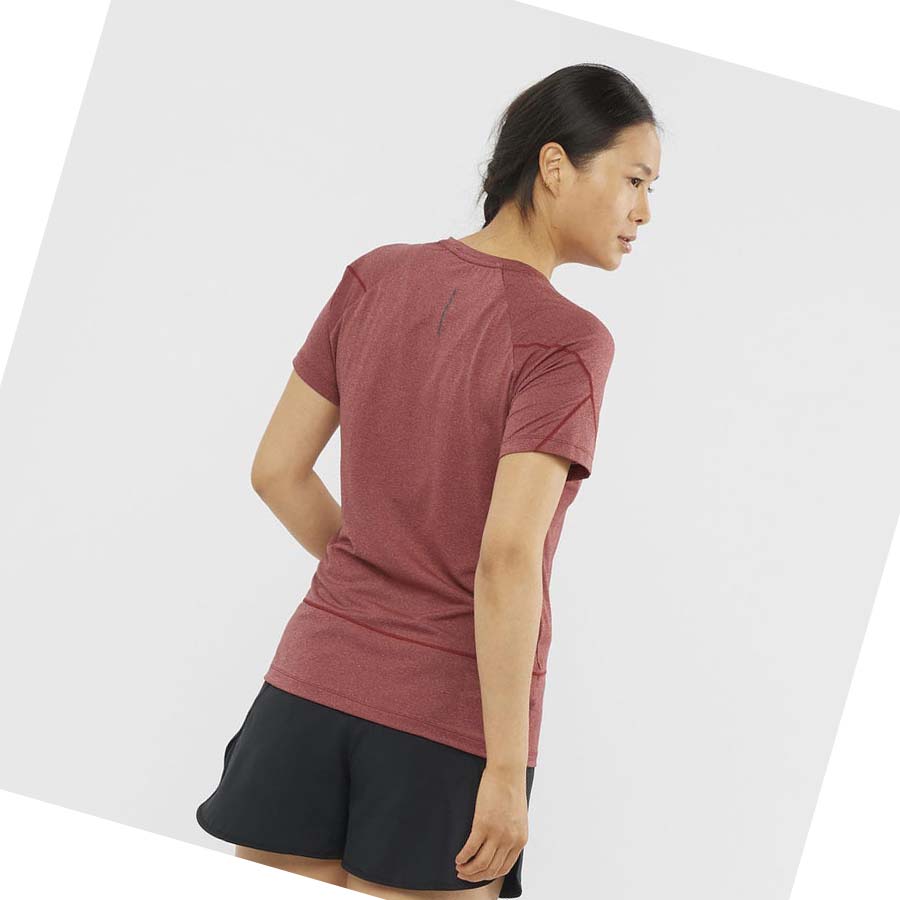 Camiseta Salomon CROSS RUN GRAPHIC Mujer Rojos | MX 2547BEX